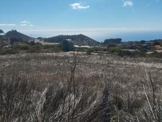 Landgut in Camino el chorro 6. Vendo terreno rústico
