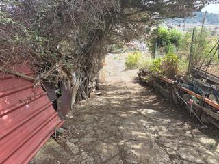 Finca rústica a Las Mercedes. Vendo terreno rústico