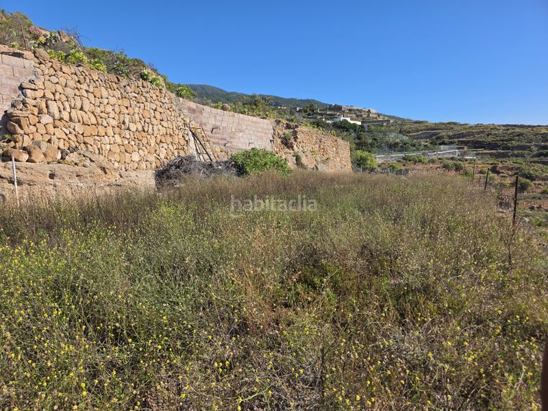 Foto 6716385b-5674-4ff8-a9bc-88fa048bc011. Finca rústica a n/a a El Escobonal - Pájara Güímar