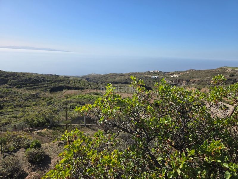 Foto ad7667a3-7996-4789-947a-eb848ff8598b. Finca rústica a n/a a El Escobonal - Pájara Güímar
