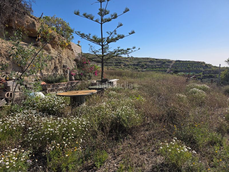 Foto ba00de26-c964-4da2-8aee-9363b56bc372. Finca rústica a n/a a El Escobonal - Pájara Güímar