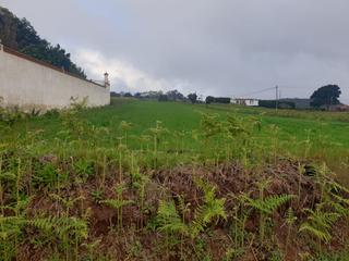 Finca rústica a La Esperanza - Llano del Moro. Terreno rústico en la esperanza