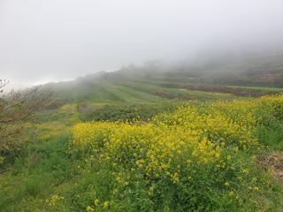 Finca rústica a La Esperanza - Llano del Moro. Terreno rústico en la esperanza