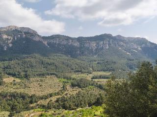 Finca rústica a Alfara de Carles. Encantadora masia a paüls