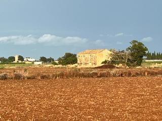 Masía en Aldea (L´). Finca con masia para restaurar