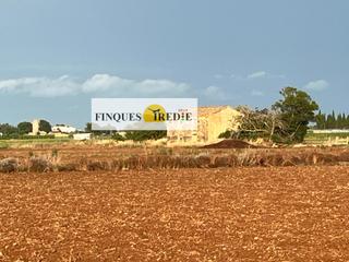 Masia a Aldea (L´). Finca con masia para restaurar