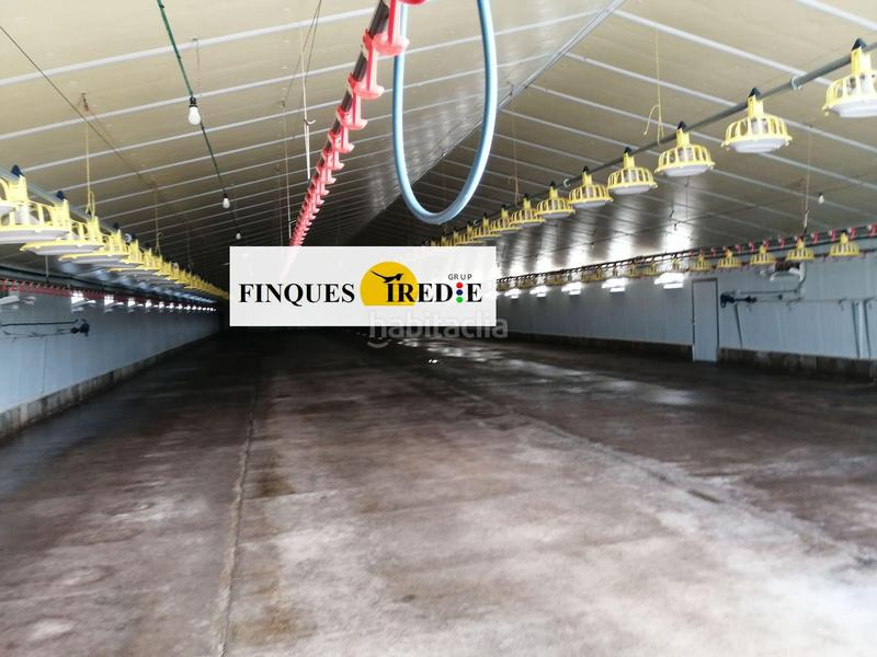 Foto 0fca3003-b6a0-49b6-b053-8dcc54a76f6b. Casa granja en venta lampolla en Ampolla (L´)
