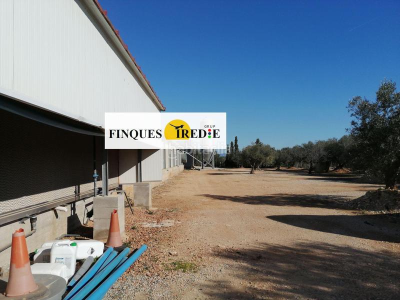 Foto 1c7f107b-8e36-4235-9a12-dd6ad321ec4c. Casa granja en venta lampolla en Ampolla (L´)