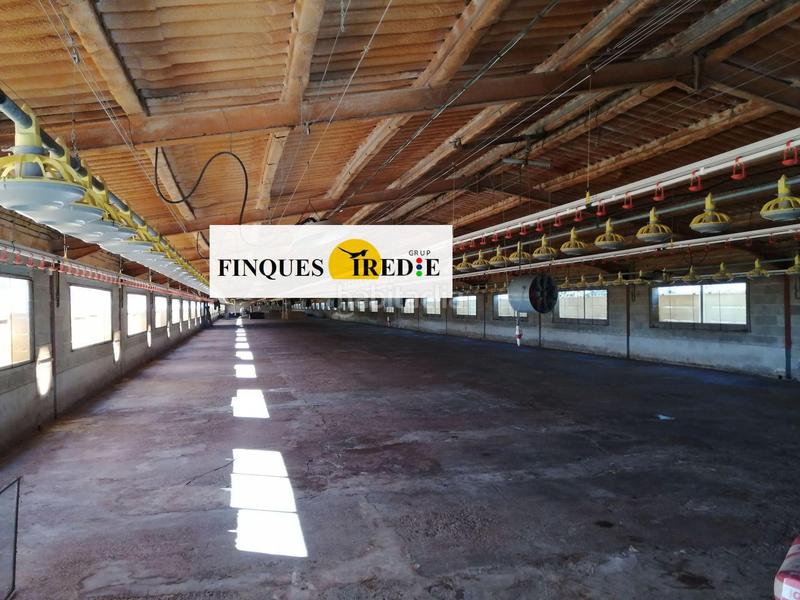 Foto 64be2310-e9aa-4d0e-b8d8-c2c0bf85bc52. Casa granja en venta lampolla en Ampolla (L´)