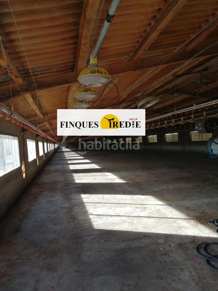 Foto f7a52528-d335-4a44-92be-2a4b3e5142c2. Casa granja en venta lampolla en Ampolla (L´)