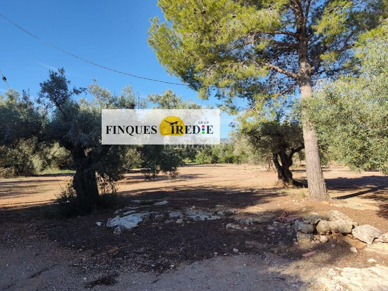Foto dfd09827-ae4c-47de-ab0f-aa5252149ca7. Finca rústica a Roquetes