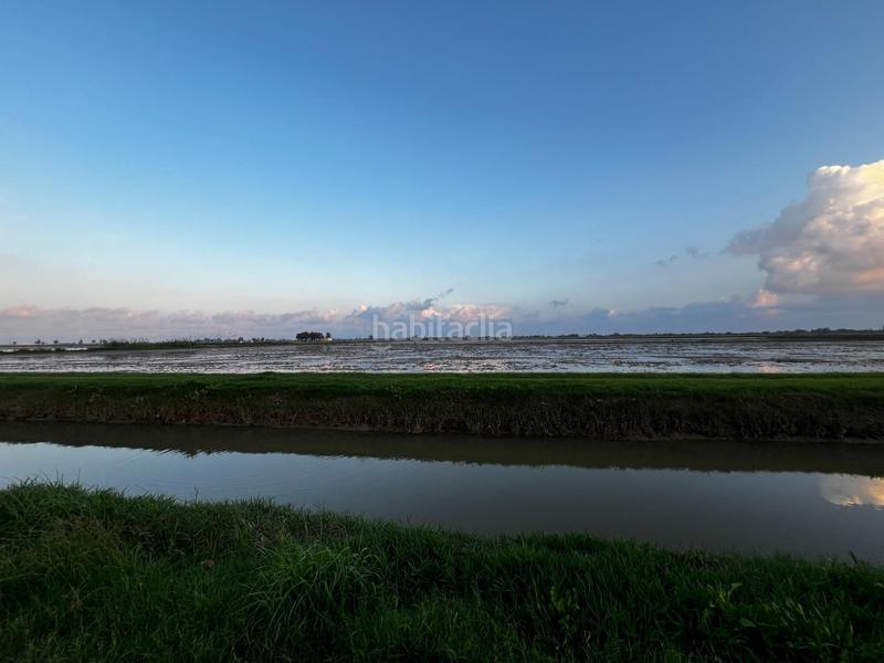 Foto 3a54f841-14d6-46a0-8d65-38666787a328. Rural plot in Aldea (L´)