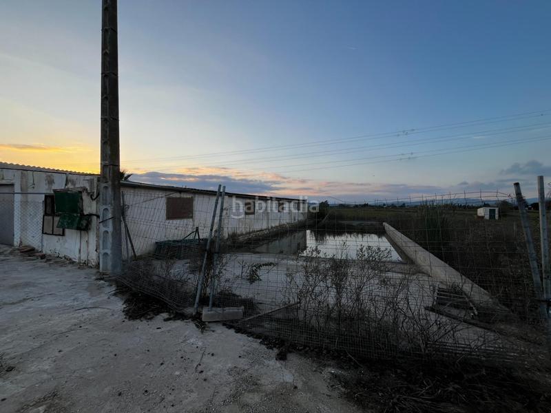 Foto 3f74db1c-7277-409e-be02-ceded6df3619. Rural plot in Aldea (L´)