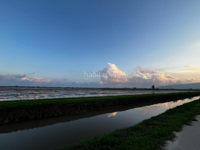 Foto 45509006-99c6-42e2-b8f3-56fae4d5aed6. Rural plot in Aldea (L´)