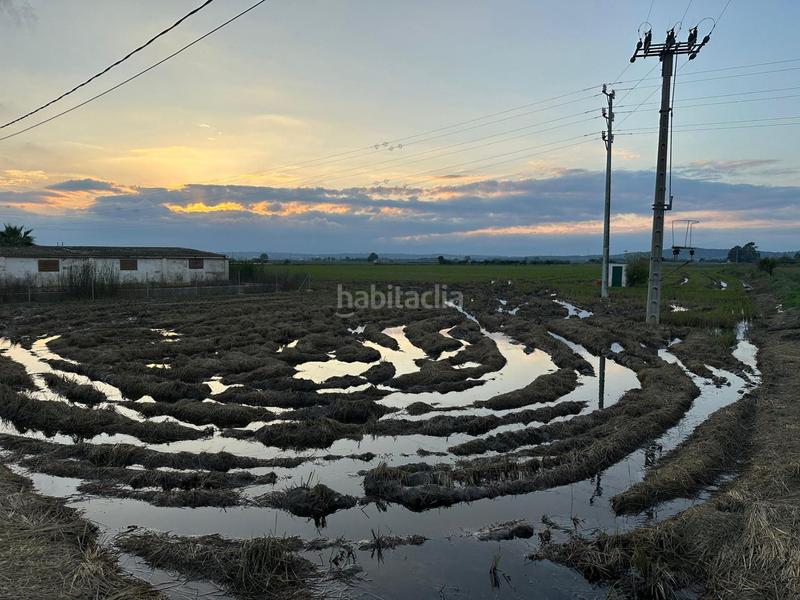 Foto 8486d103-0161-4beb-8827-3c3b64740f10. Rural plot in Aldea (L´)