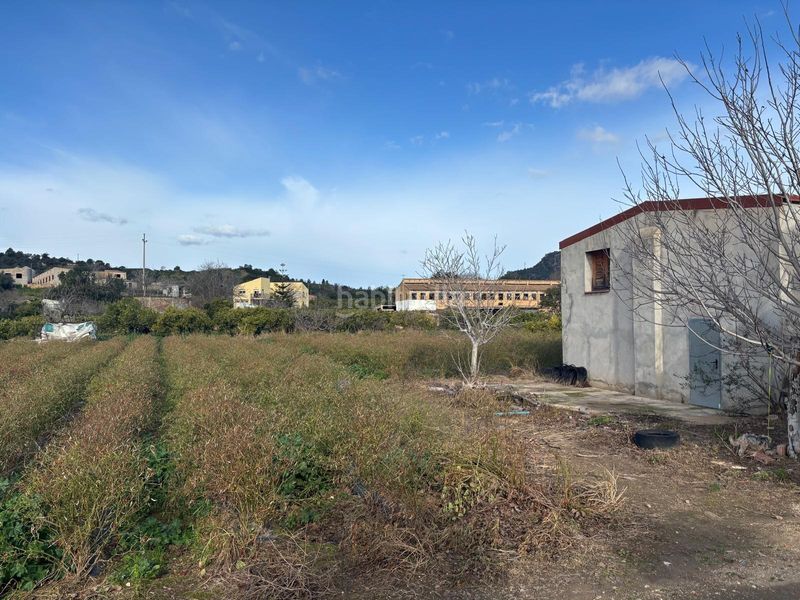Foto f2aab347-f5e7-41db-b836-4348d85d7bde. Finca rústica  con almacen en Xerta