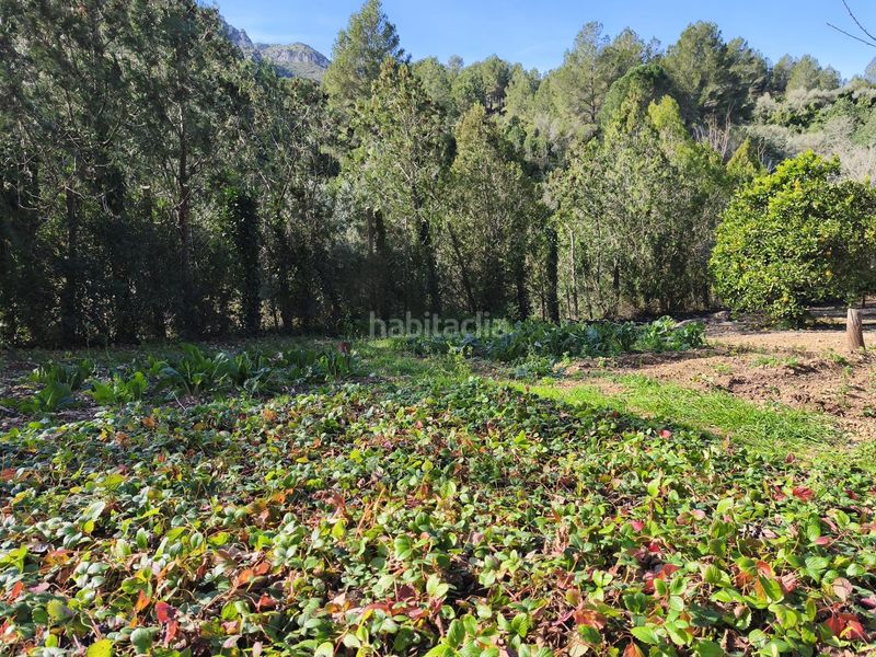 Foto 025495a4-d95d-4003-ad09-c7a93fef921f. Masia a Alfara de Carles