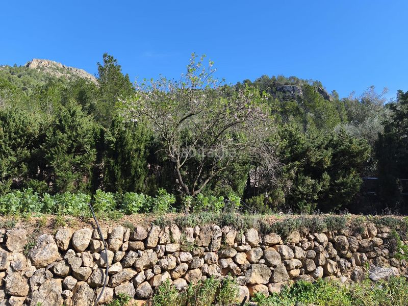 Foto 660e0215-6dc6-4c5b-a89e-6f0bc3161470. Masia a Alfara de Carles