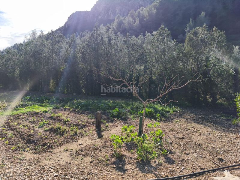 Foto 7ce6c6c8-047a-4012-ba52-5f32b33a8929. Masia a Alfara de Carles