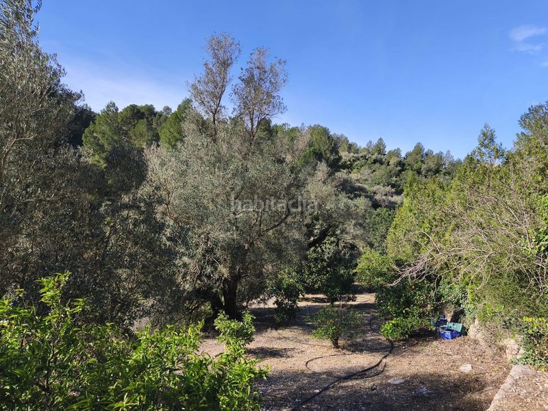 Foto caa87736-f559-4f04-9791-c2b0fc5e8566. Masia a Alfara de Carles