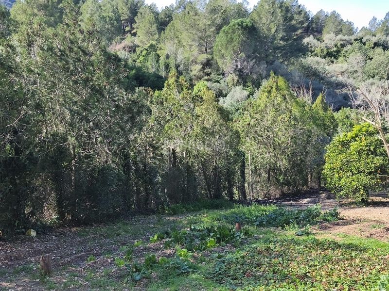 Foto fe32f6be-f341-46c8-b511-c8c975174d8d. Masia a Alfara de Carles