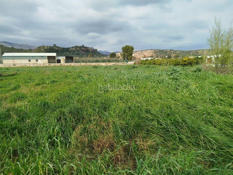 Foto c74fb71c-841e-4917-977c-4e3a7adfcd19. Masia a Xerta