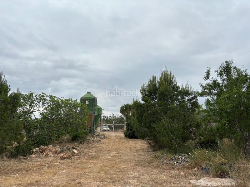 Foto 4a10374e-13e0-4622-98c3-676f25335f3b. Local comercial a Xerta