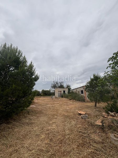 Foto a18b7bce-be69-424e-8289-7fe7eeab7da5. Local comercial a Xerta