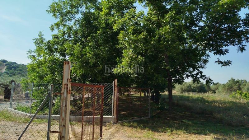 Foto 0cf68558-d886-4575-9bfa-d169e8629eb5. Finca rústica a Casc Antic Amposta