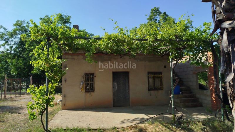 Foto 73a5dfcb-500e-4338-85bd-c4e14bfa8fa8. Finca rústica a Casc Antic Amposta