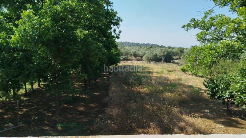 Foto b5d88dc7-a7ff-442c-a4f8-51dfded3f727. Finca rústica a Casc Antic Amposta