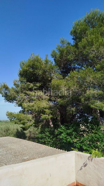 Foto b6be8245-e9c9-4c71-b5e6-52927bfe4258. Finca rústica a Casc Antic Amposta