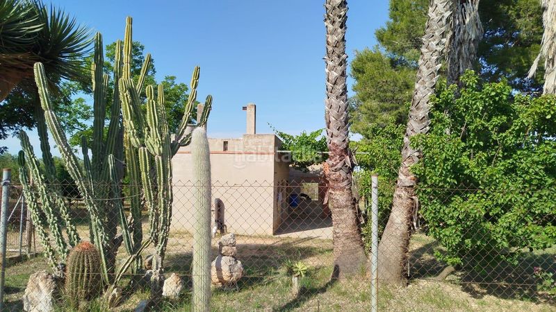 Foto e9e0151b-0726-4c04-bd01-524e10082dd2. Finca rústica a Casc Antic Amposta