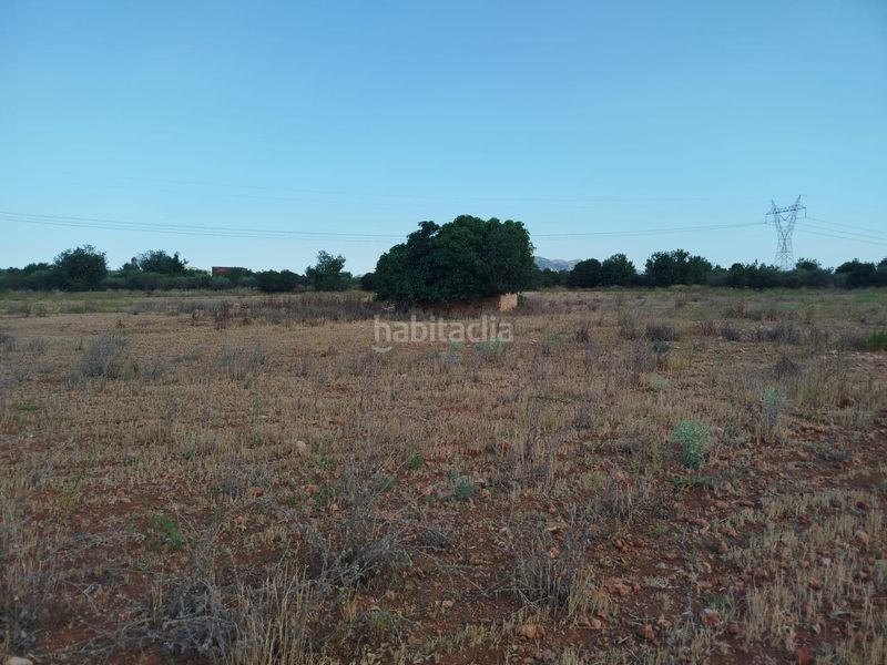 Foto 63ac9983-550d-4647-87f2-0b16aaf470ae. Finca rústica a Masdenverge