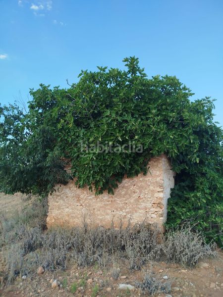 Foto c53a8ff3-eb02-4143-99e3-f32a1029a16f. Finca rústica a Masdenverge