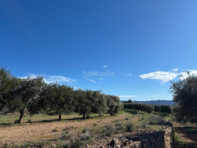 Foto 1d0f0882-5202-467c-b3b9-cfaf8e0897fb. Finca rústica a Aldover