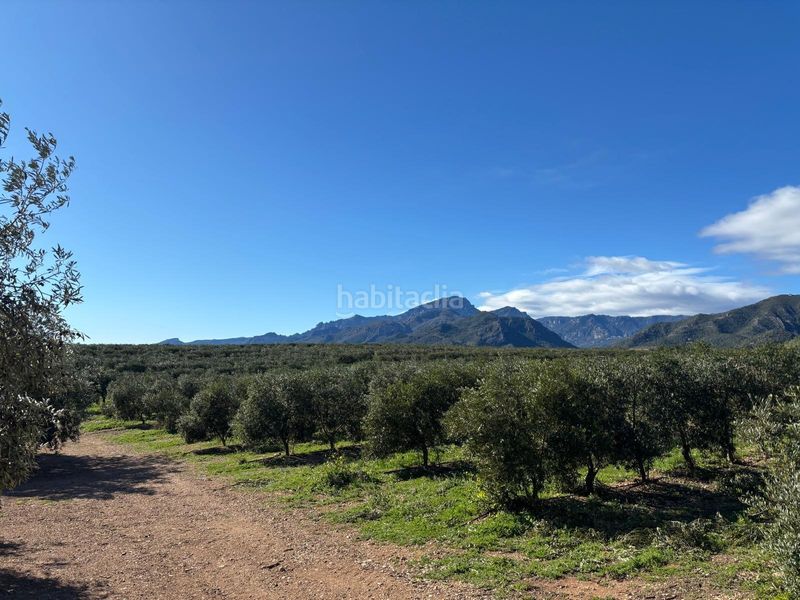 Foto 56403adf-41bd-482b-9a71-763b15b36054. Finca rústica a Aldover