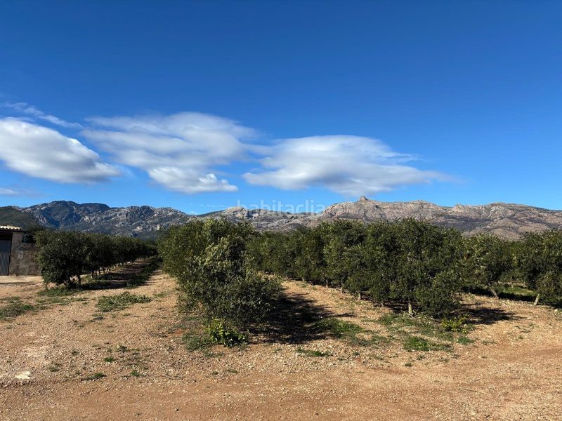 Foto ad027329-4e2d-4aaa-8316-35e1733fa2e1. Finca rústica a Aldover