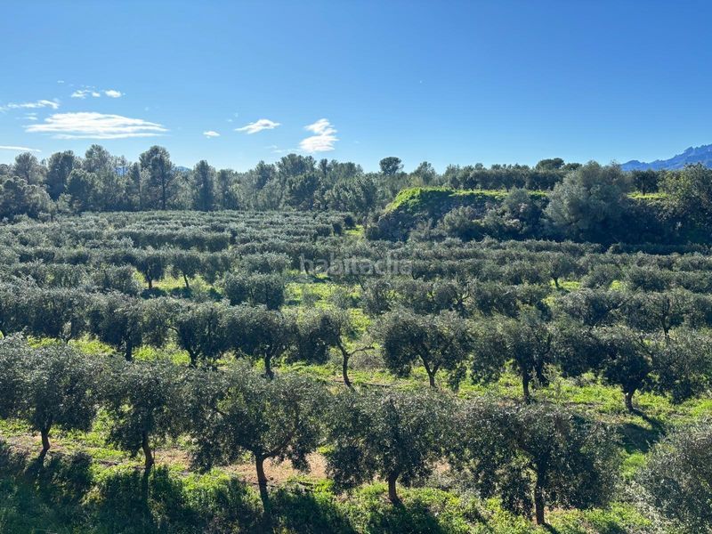 Foto c3a984c4-61e1-43fc-9023-6afd0e0981f5. Finca rústica a Aldover