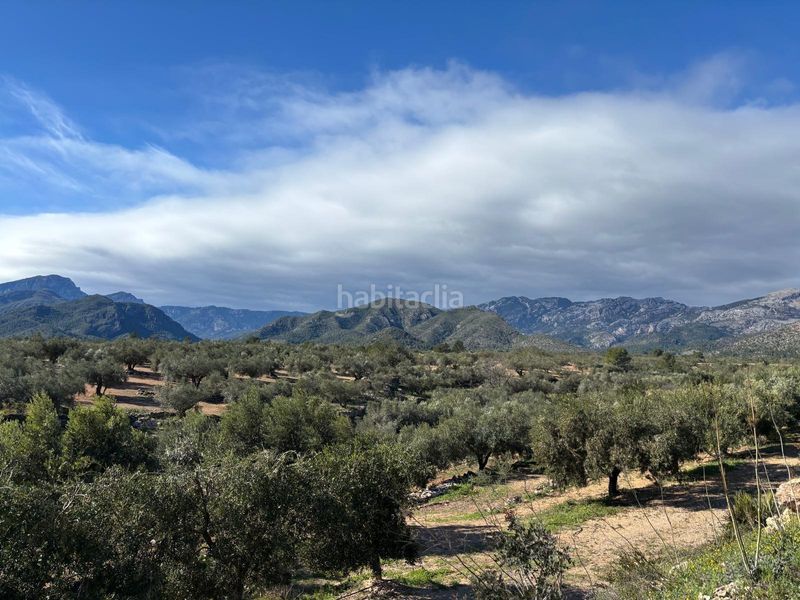 Foto c6701536-2379-4d18-8726-a23c874828e4. Finca rústica a Aldover
