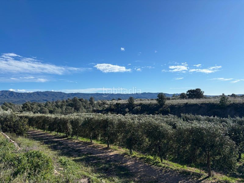 Foto d935c305-2d27-428e-9164-9de5cf3e2d5d. Finca rústica a Aldover