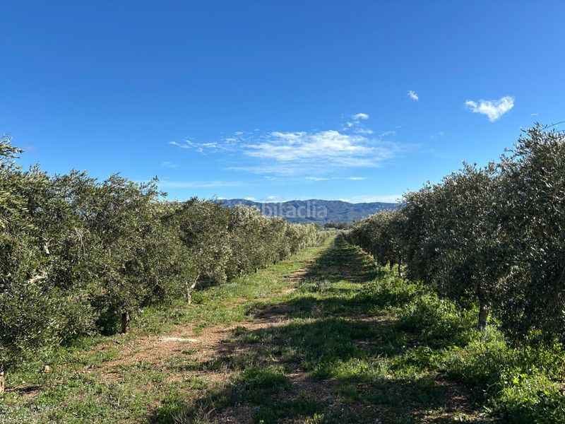 Foto f654a117-0044-425c-b85f-31355a828dce. Finca rústica a Aldover