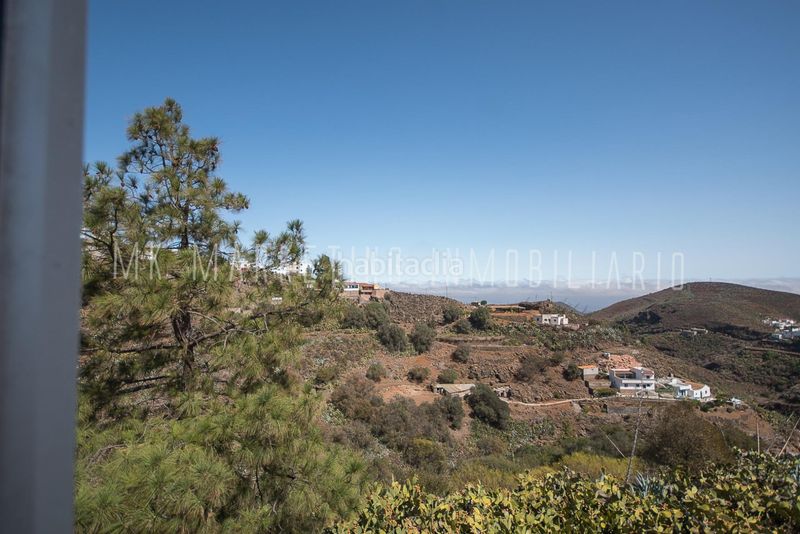 Foto c9a96e05-44f9-4b3d-b4f5-e5b8d2a43245. Masia a breñas 62 a Valle de los Nueve - El Ejido - Medianías Telde