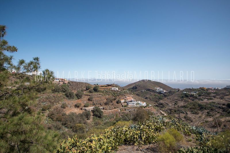 Foto ca0b2a38-69d5-436b-96aa-d0b37e0a032c. Masia a breñas 62 a Valle de los Nueve - El Ejido - Medianías Telde