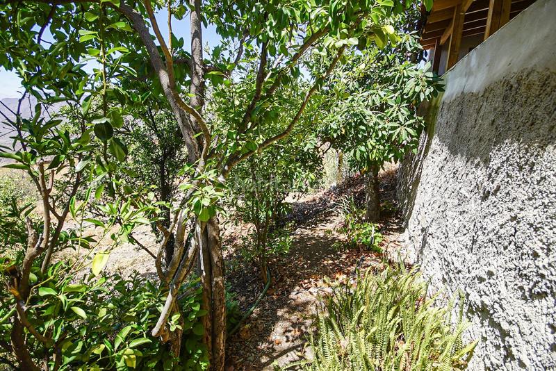 Foto 8000de41-a3af-4caf-a579-923ac3bba836. Casale con parcheggio in San Bartolomé Interior San Bartolomé de Tirajana