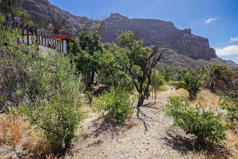 Foto d0d4d65a-e563-4591-9b6c-523b940a3c25. Country house with parking in San Bartolomé Interior San Bartolomé de Tirajana