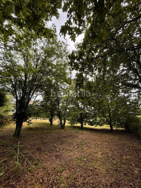 Foto 5966ac69-b846-4a81-a0cb-01c75ef6e960. Bauernhof mit kamin in Ponte - Caldelas