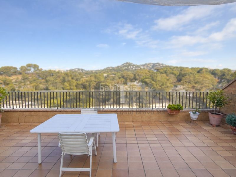 Foto 1c807edb-7233-44e3-8fbc-a8d0bd0397f4. Apartament a Centre Lloret de Mar
