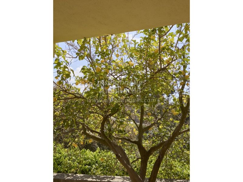 Foto 5a83dff6-fe1e-4b83-9547-12033da2820e. Casa amb aparcament piscina a Lloret Verd - Els Pinars Lloret de Mar