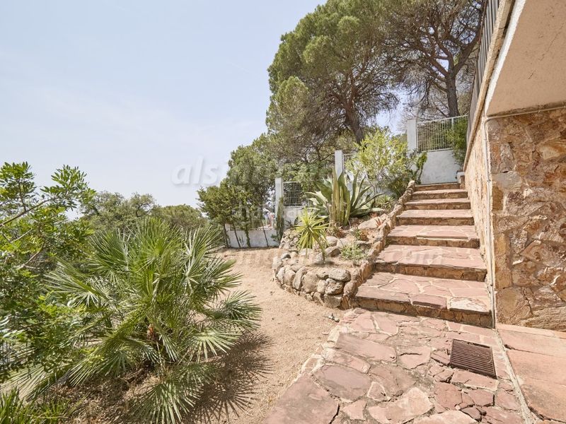 Foto e25ca945-c015-4eda-8ddf-1e6d8ad00e17. Casa amb aparcament a Lloret Verd - Els Pinars Lloret de Mar